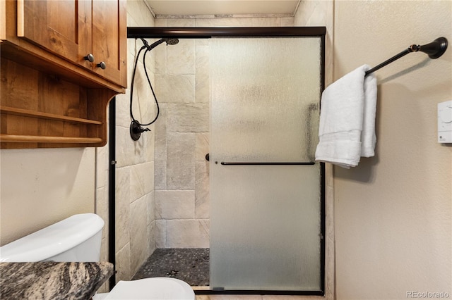 6773 Snowshoe Trl, Evergreen, CO 80439 - full bathroom featuring a stall shower