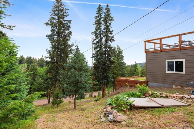 6773 Snowshoe Trl, Evergreen, CO 80439 - view of yard