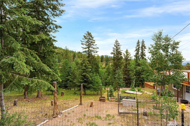 6773 Snowshoe Trl, Evergreen, CO 80439 - view of yard with a vegetable garden and a view of trees
