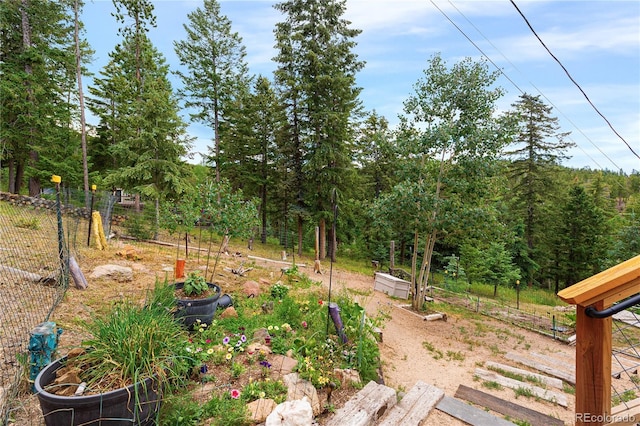 6773 Snowshoe Trl, Evergreen, CO 80439 - view of yard featuring a vegetable garden