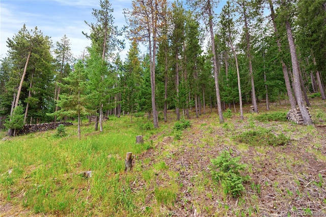 6773 Snowshoe Trl, Evergreen, CO 80439 - view of wooded area