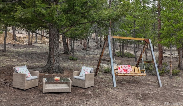 view of jungle gym