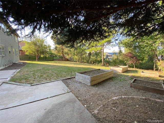 view of yard featuring a patio area