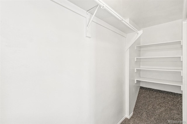 17094 E Tennessee Dr Unit 212, Aurora, CO 80017 - spacious closet with carpet floors