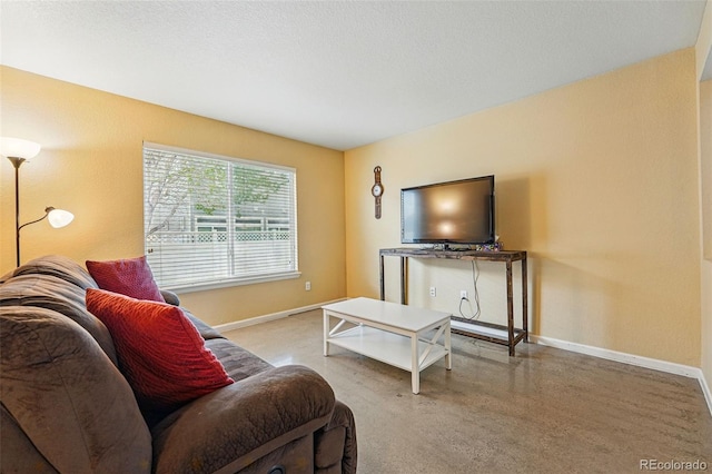 4705 Andes St, Denver, CO 80249 - living room featuring baseboards