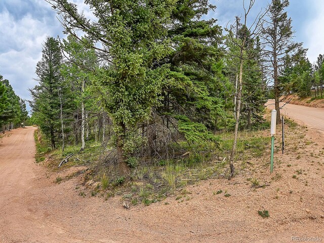 Listing photo 2 for 47 Aster Rd, Woodland Park CO 80814