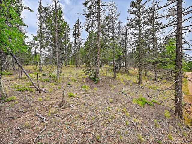 Listing photo 3 for 47 Aster Rd, Woodland Park CO 80814