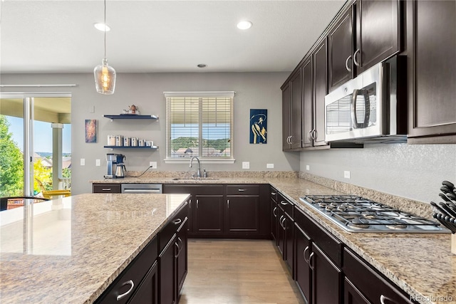 1382 Raindrop Way, Castle Rock, CO 80109 - photo 5