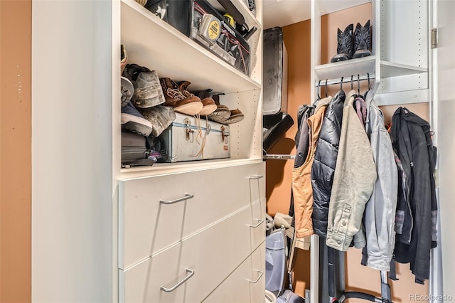 view of walk in closet