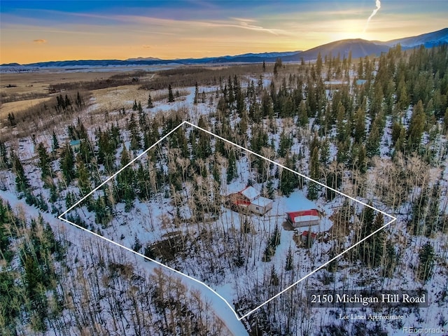 2150 Michigan Hill Rd, Jefferson, CO 80456 - snowy aerial view featuring a mountain view and property boundaries highlighted