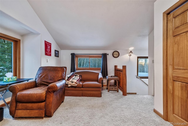 2150 Michigan Hill Rd, Jefferson, CO 80456 - carpeted living area with vaulted ceiling