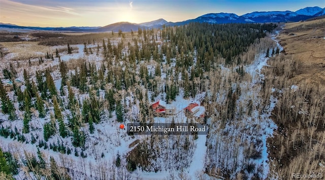 2150 Michigan Hill Rd, Jefferson, CO 80456 - snowy aerial view with a mountain view and a view of trees