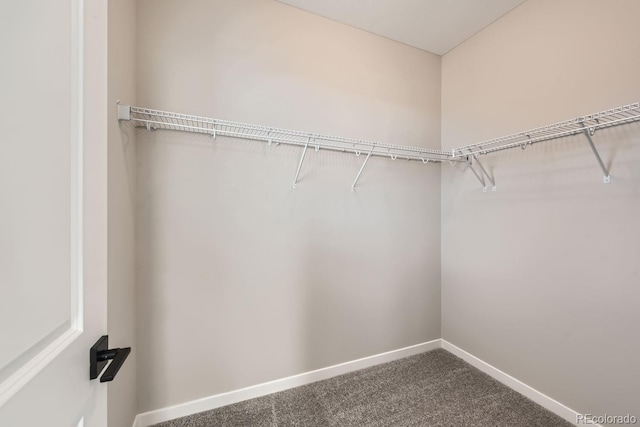 9629 Browns Peak Cir, Littleton, CO 80125 - spacious closet with carpet flooring