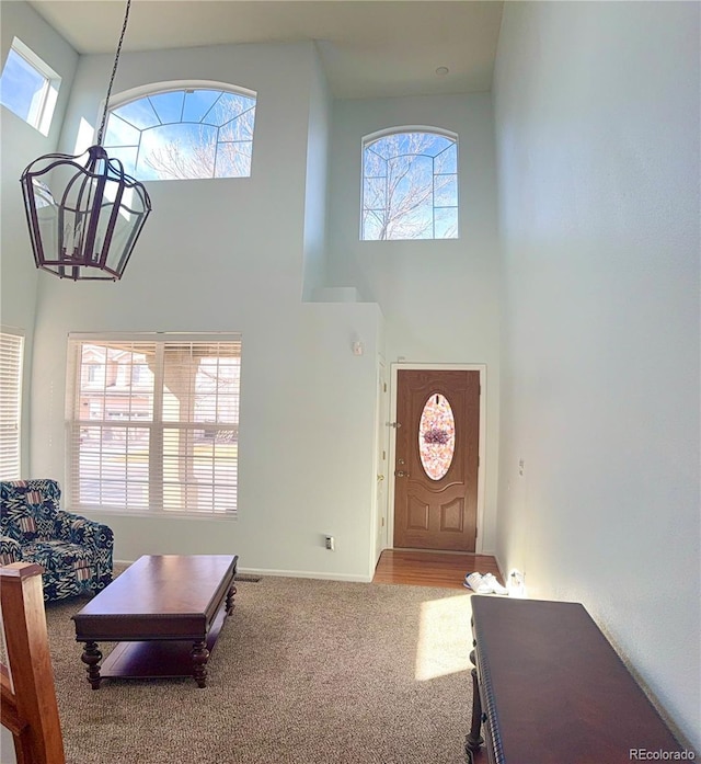 carpeted entryway featuring a healthy amount of sunlight and a high ceiling