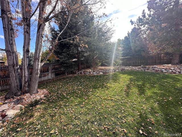 view of yard with a fenced backyard