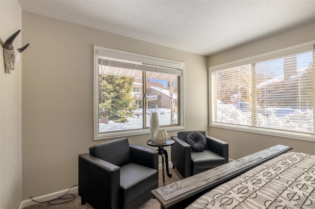 302 Lakeside Dr Unit 2D, Grand Lake, CO 80447 - photo 27