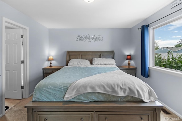 113 Rockaway Ave, Castle Rock, CO 80104 - photo 26