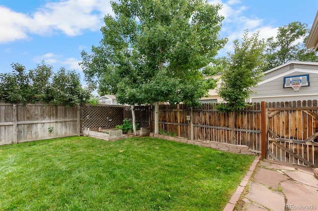 113 Rockaway Ave, Castle Rock, CO 80104 - photo 37