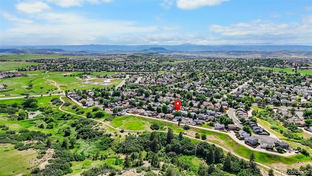 113 Rockaway Ave, Castle Rock, CO 80104 - photo 40