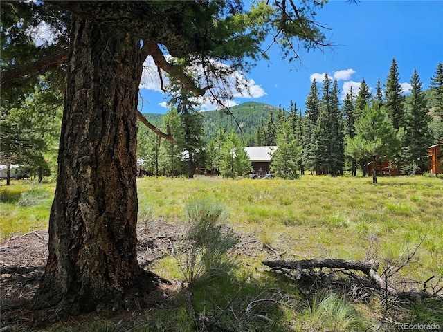 view of yard featuring a mountain view