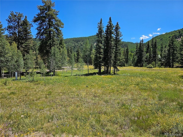 view of mountain feature featuring a rural view