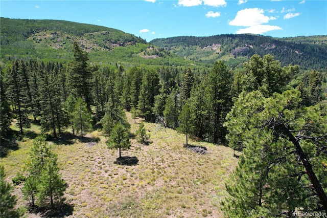 view of mountain feature