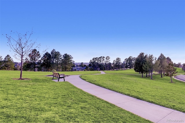 view of community featuring a yard