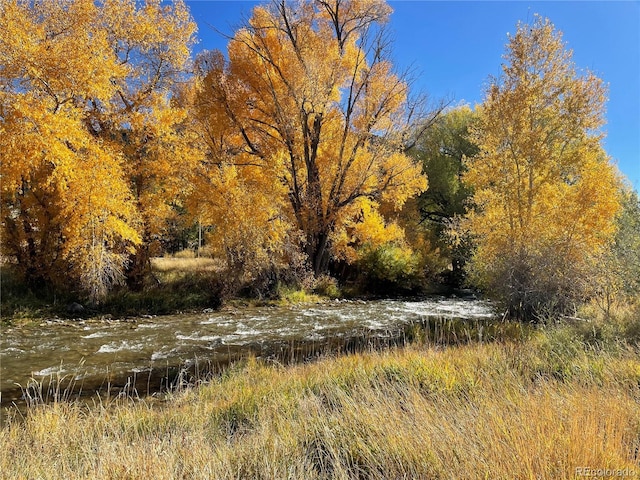 view of local wilderness featuring a wooded view