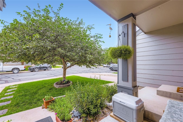 1974 E 102nd Cir, Thornton, CO 80229 - view of green lawn