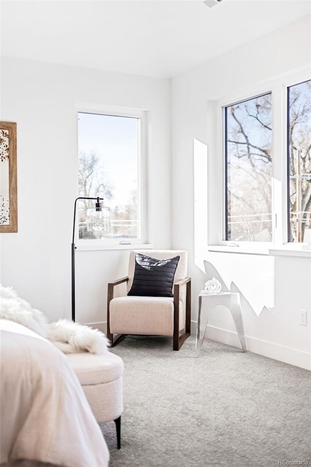 sitting room featuring carpet