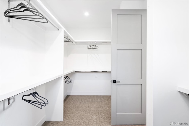 walk in closet featuring light colored carpet