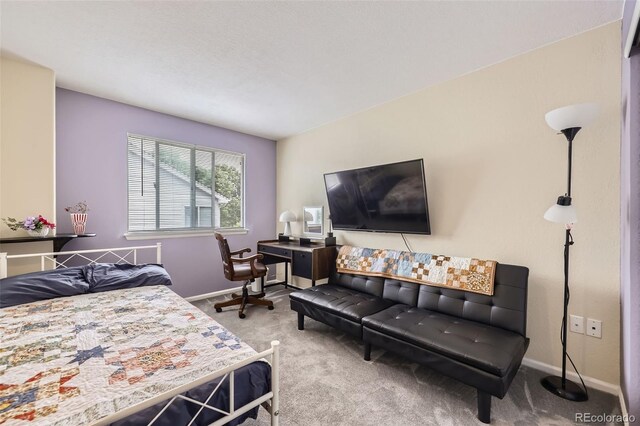 334 Octillo St, Brighton, CO 80601 - carpeted bedroom with baseboards