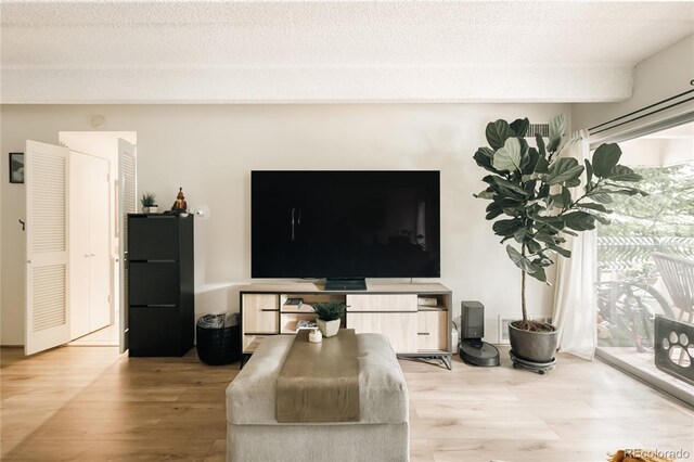 1365 Columbine St Unit 204, Denver, CO 80206 - living area with wood finished floors
