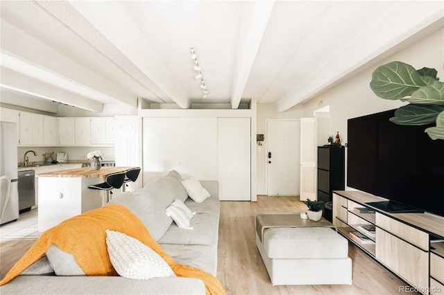 1365 Columbine St Unit 204, Denver, CO 80206 - living area featuring light wood-style flooring and beamed ceiling