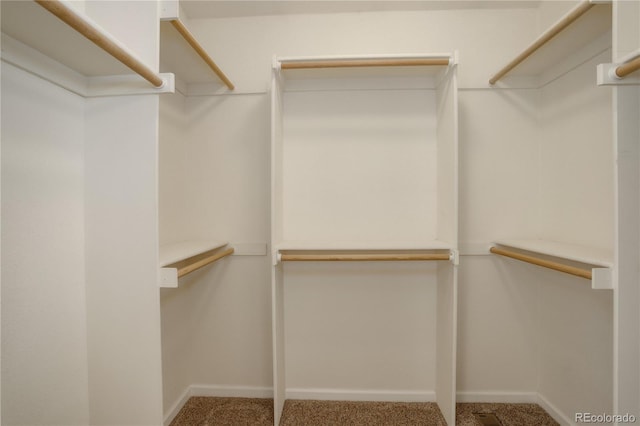 spacious closet with carpet flooring