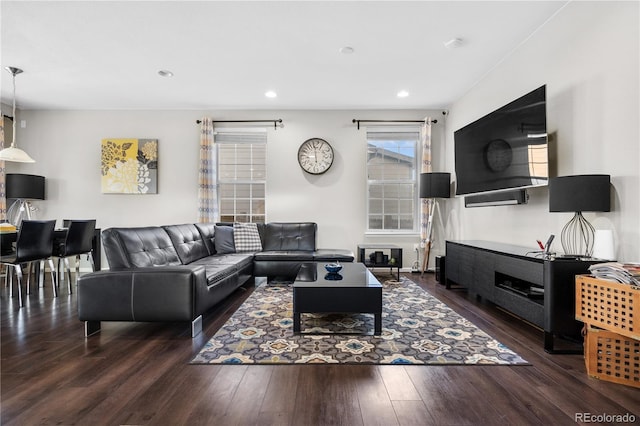 living room featuring dark hardwood / wood-style flooring