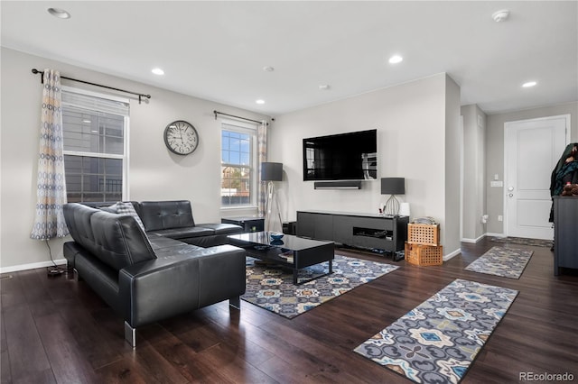 living room with dark wood-type flooring