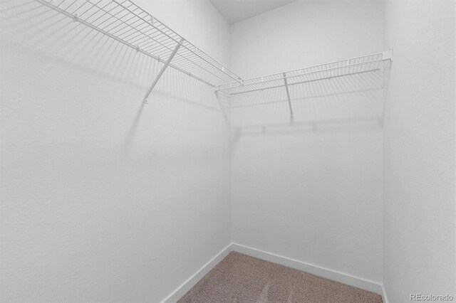 503 S Rollie Ave Unit 2B, Fort Lupton, CO 80621 - photo 22