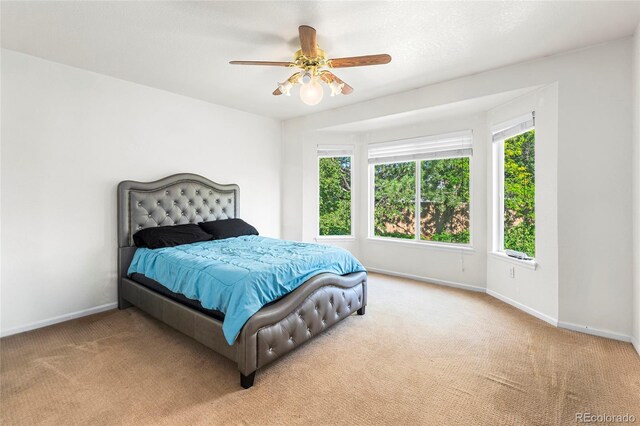 634 E 130th Way, Thornton, CO 80241 - photo 25