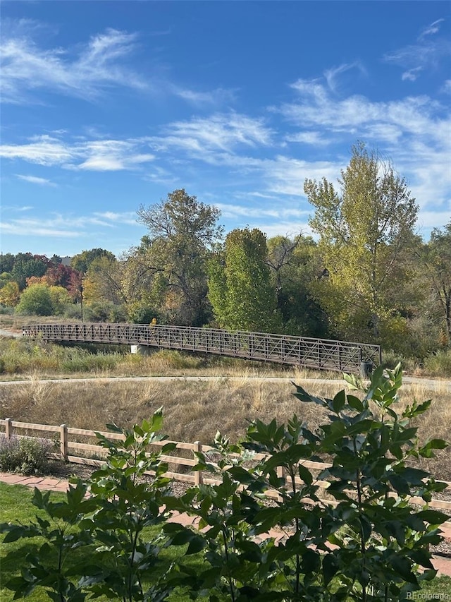 view of yard with a rural view