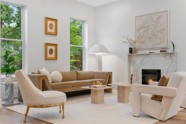 2351 N Emerson St, Denver, CO 80205 - living area featuring a glass covered fireplace and wood finished floors