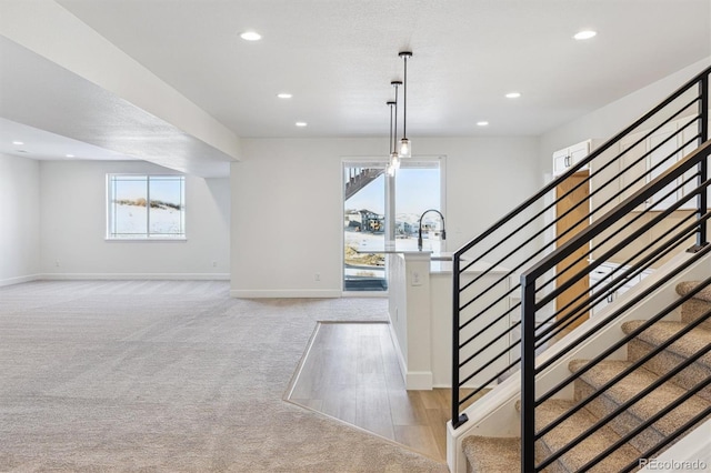 stairway with carpet flooring