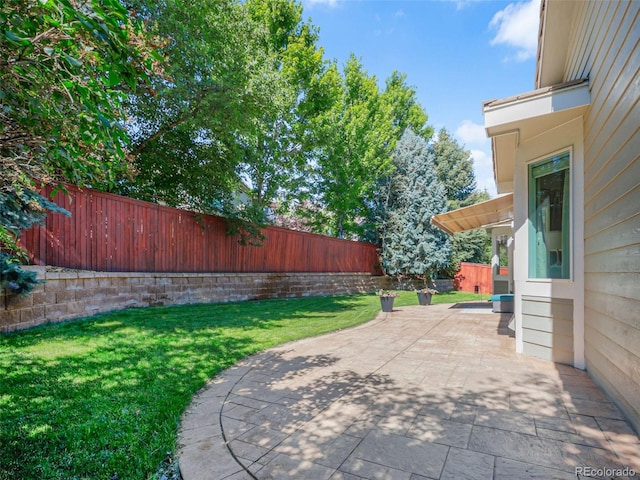 9464 E Aspen Hill Pl, Lone Tree, CO 80124 - fenced backyard with a patio area