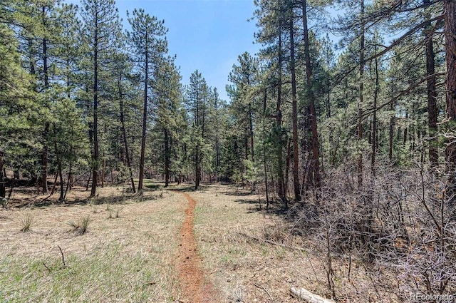 8173 Bannock Dr, Larkspur CO, 80118 land for sale