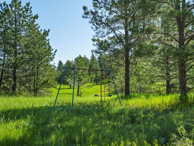 11824 E Basswood Ln, Franktown, CO 80116 - photo 9