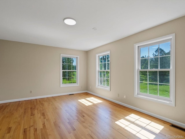 11824 E Basswood Ln, Franktown, CO 80116 - photo 28