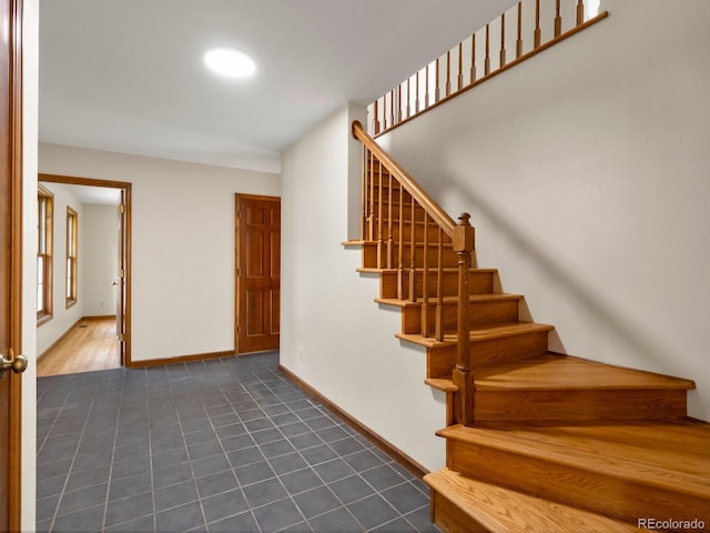 11824 E Basswood Ln, Franktown, CO 80116 - photo 33