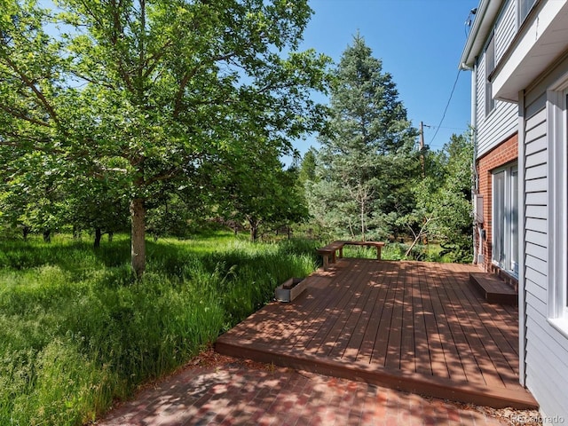 11824 E Basswood Ln, Franktown, CO 80116 - photo 37