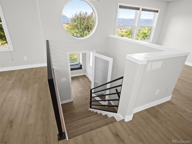 7486 County Road 100, Carbondale, CO 81623 - photo 9