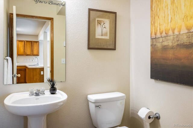 3389 Hewitt St, Loveland, CO 80538 - photo 10